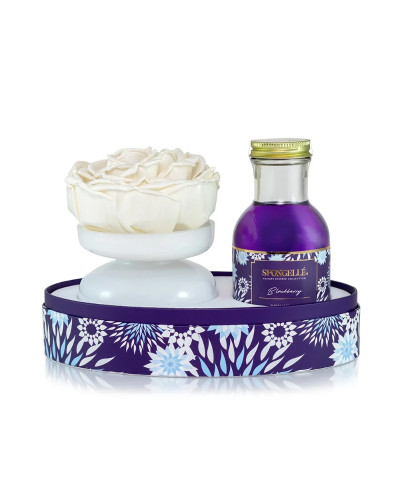 Dāvanu komplekts Spongelle, Private Reserve Floret Diffuser Blackberry Gift Set, 0850027333106