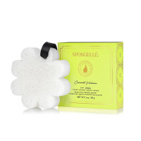 Spongelle, Boxed White Flower Coconut Verbena 1pc