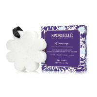 Spongelle, Boxed White Flower Blackberry White 1pc