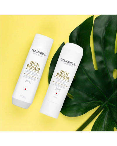 Goldwell, Dualsenses Rich Repair atjaunojošais šampūns 250 ml, 4021609028499