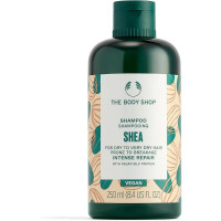 The Body Shop, Shea shampoo 250ml