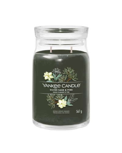 Yankee Candle, Silver Sage & Pine Large Jar 567g, 5038581129037