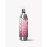 We Are Paradoxx, Repair Shampoo 250ml