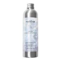 We Are Paradoxx, Detox Hydration Conditioner 250ml